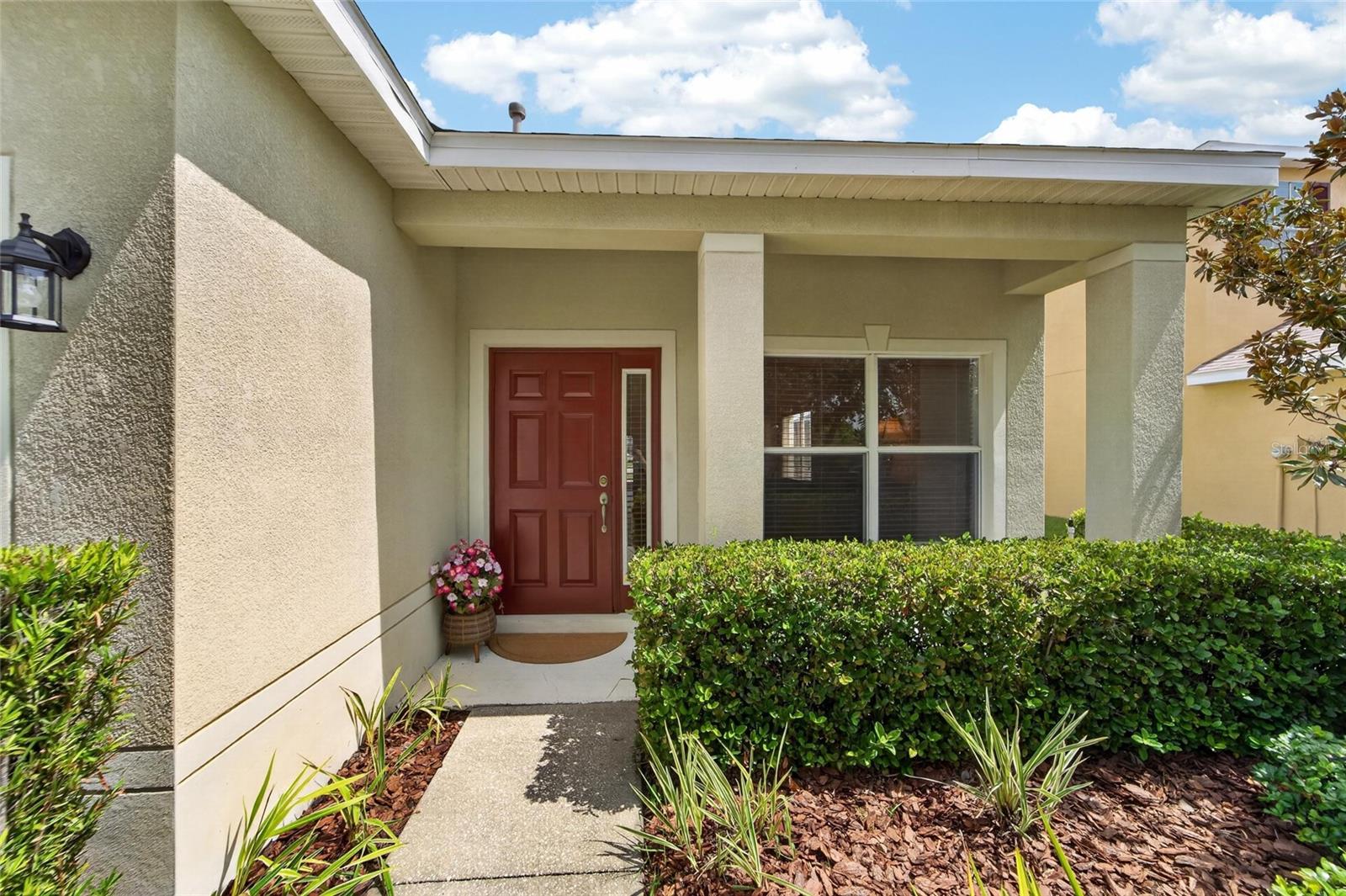LIVE OAK PRESERVE - Residential