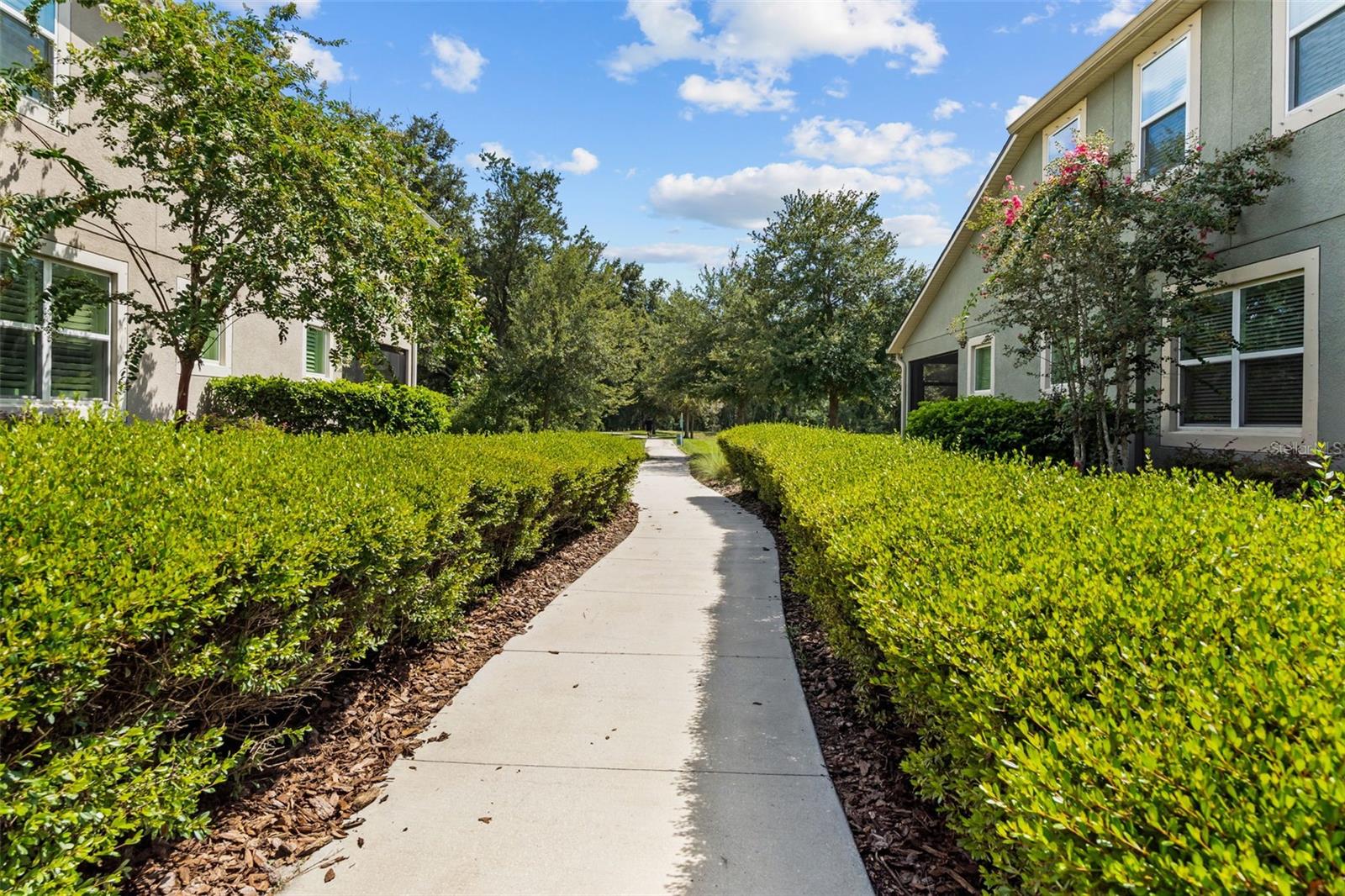 LAKEVIEW AT CITRUS PARK - Residential