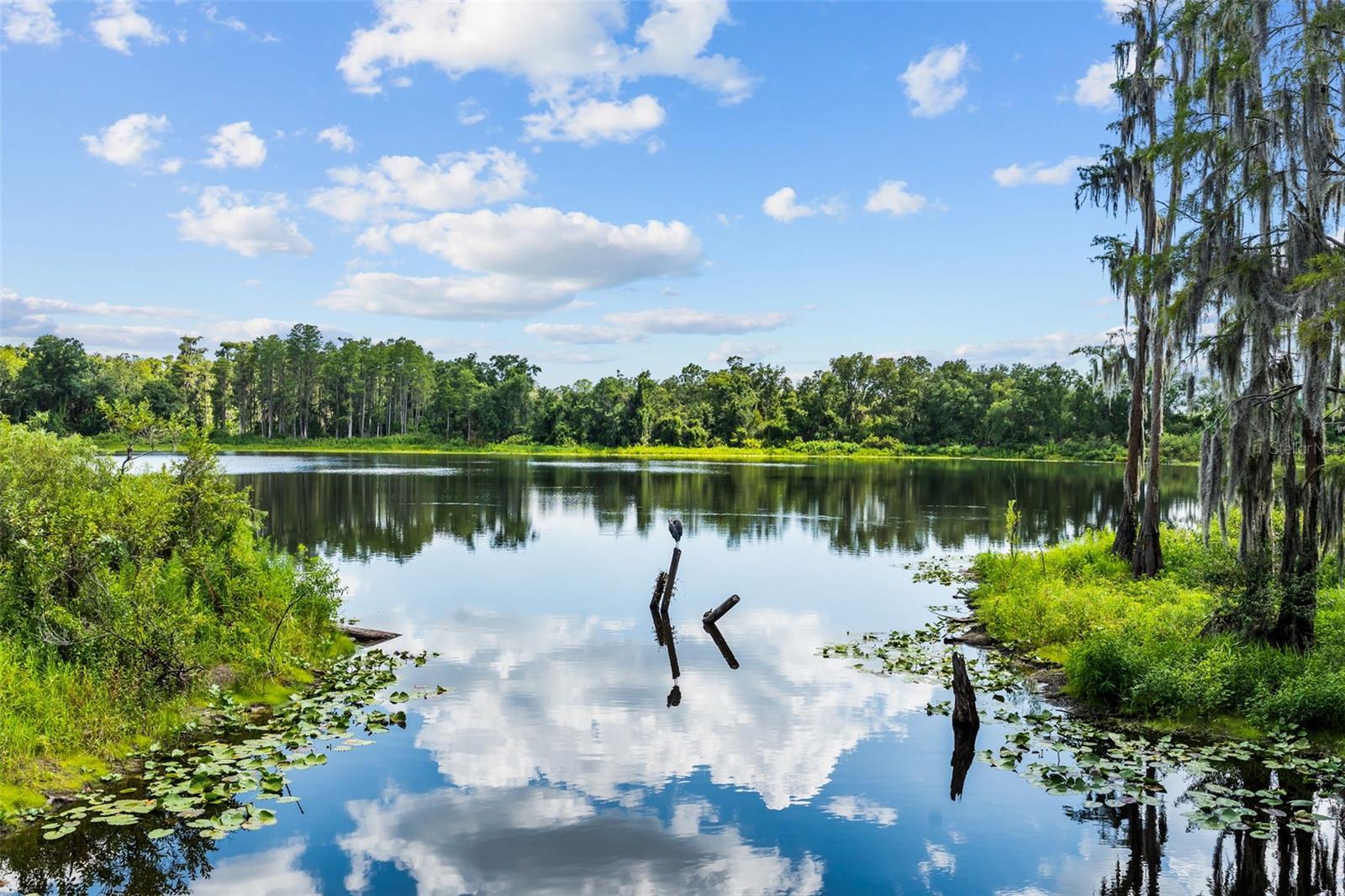 LAKEVIEW AT CITRUS PARK - Residential