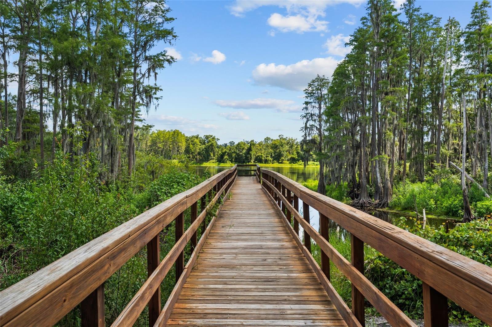 LAKEVIEW AT CITRUS PARK - Residential