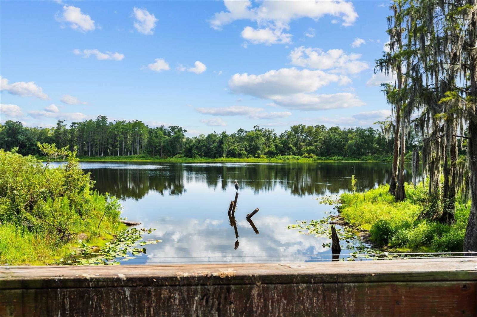 LAKEVIEW AT CITRUS PARK - Residential