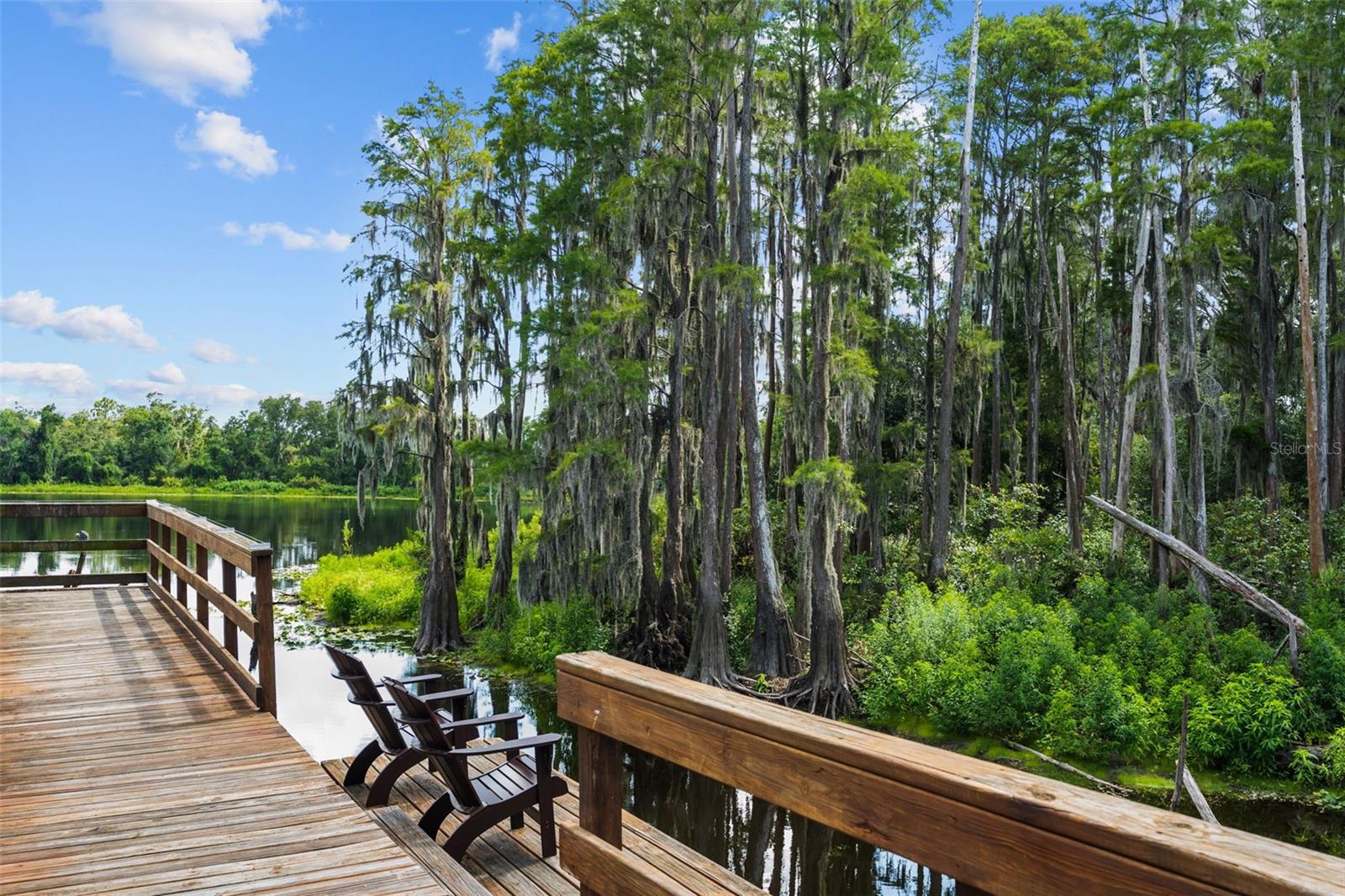 LAKEVIEW AT CITRUS PARK - Residential