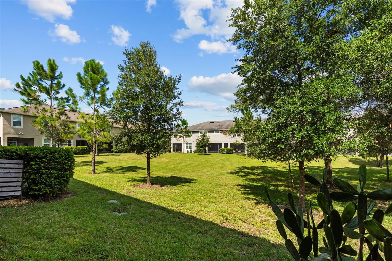 LAKEVIEW AT CITRUS PARK - Residential