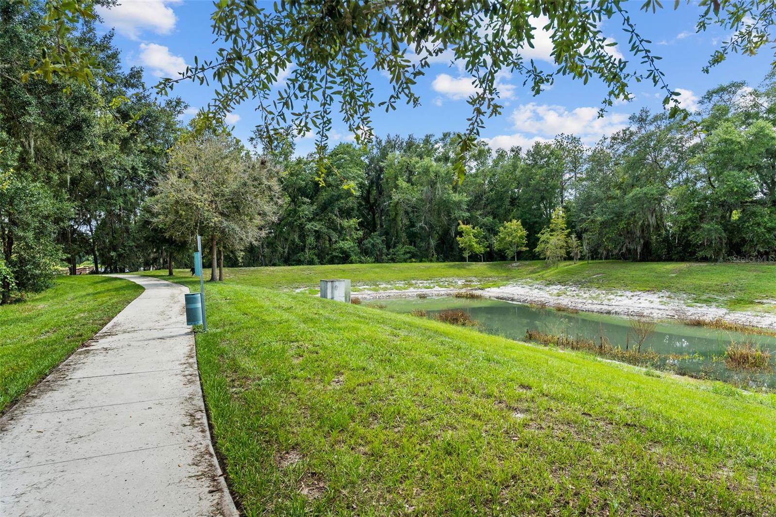 LAKEVIEW AT CITRUS PARK - Residential