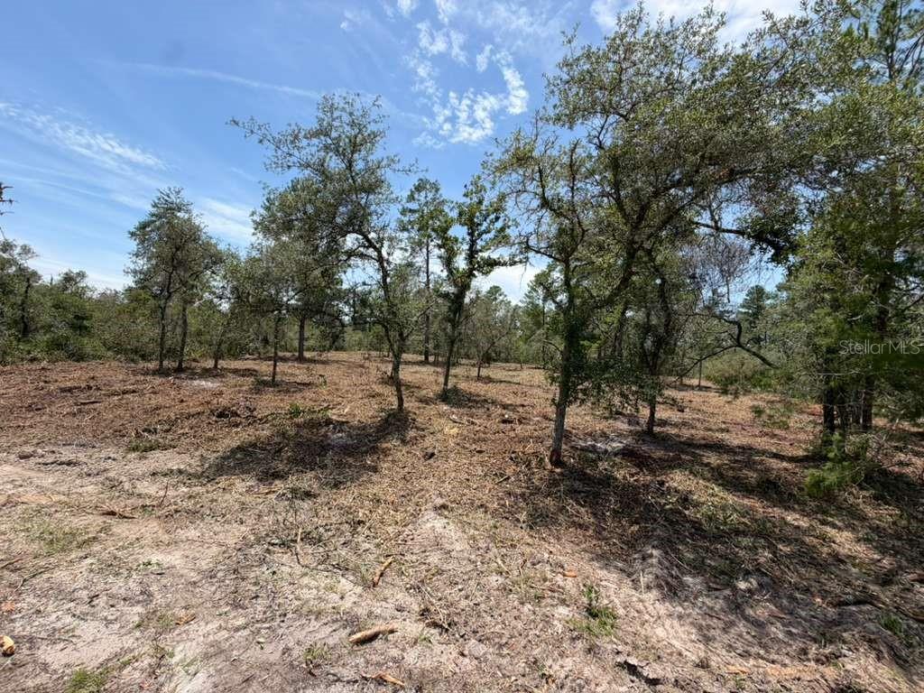 LAND CLEARED ONLY FEW TREES.
It's a wonderful time to buy land!
The construction of new homes is being planned in this area.
An excellent lot to build your future home, or good for acquiring it from a builder or investor.
It has paved streets and electrical supply in the area.
Located near Lake Weir.