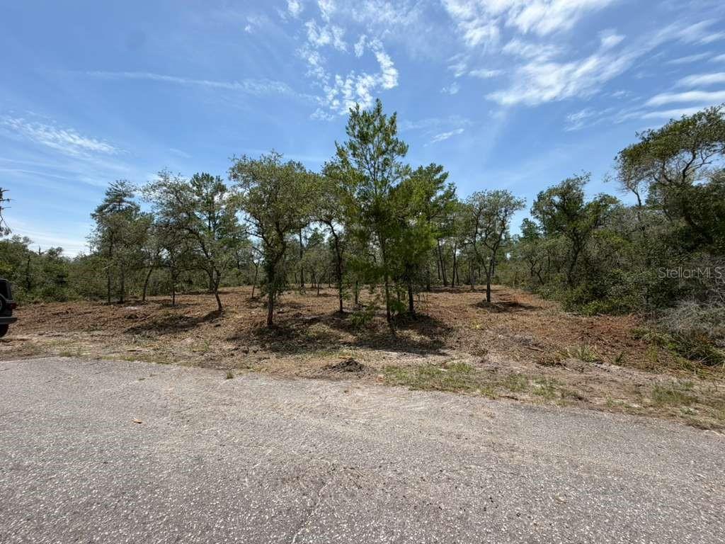 SILVER SPRINGS SHORES EAST - Land
