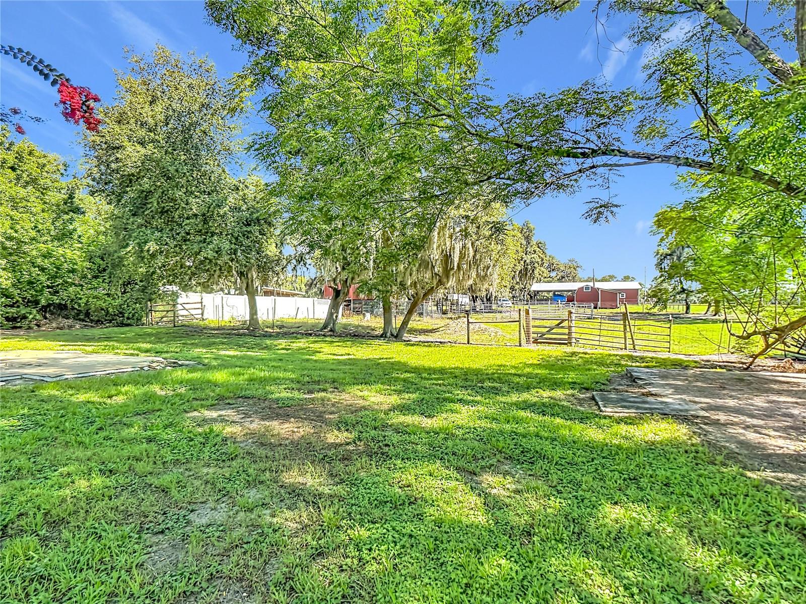 BUCKHORN RUN - Residential