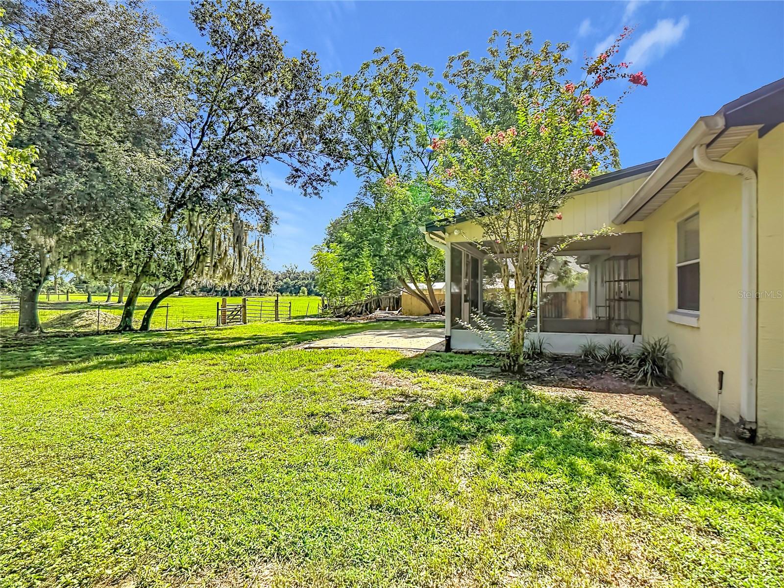 BUCKHORN RUN - Residential