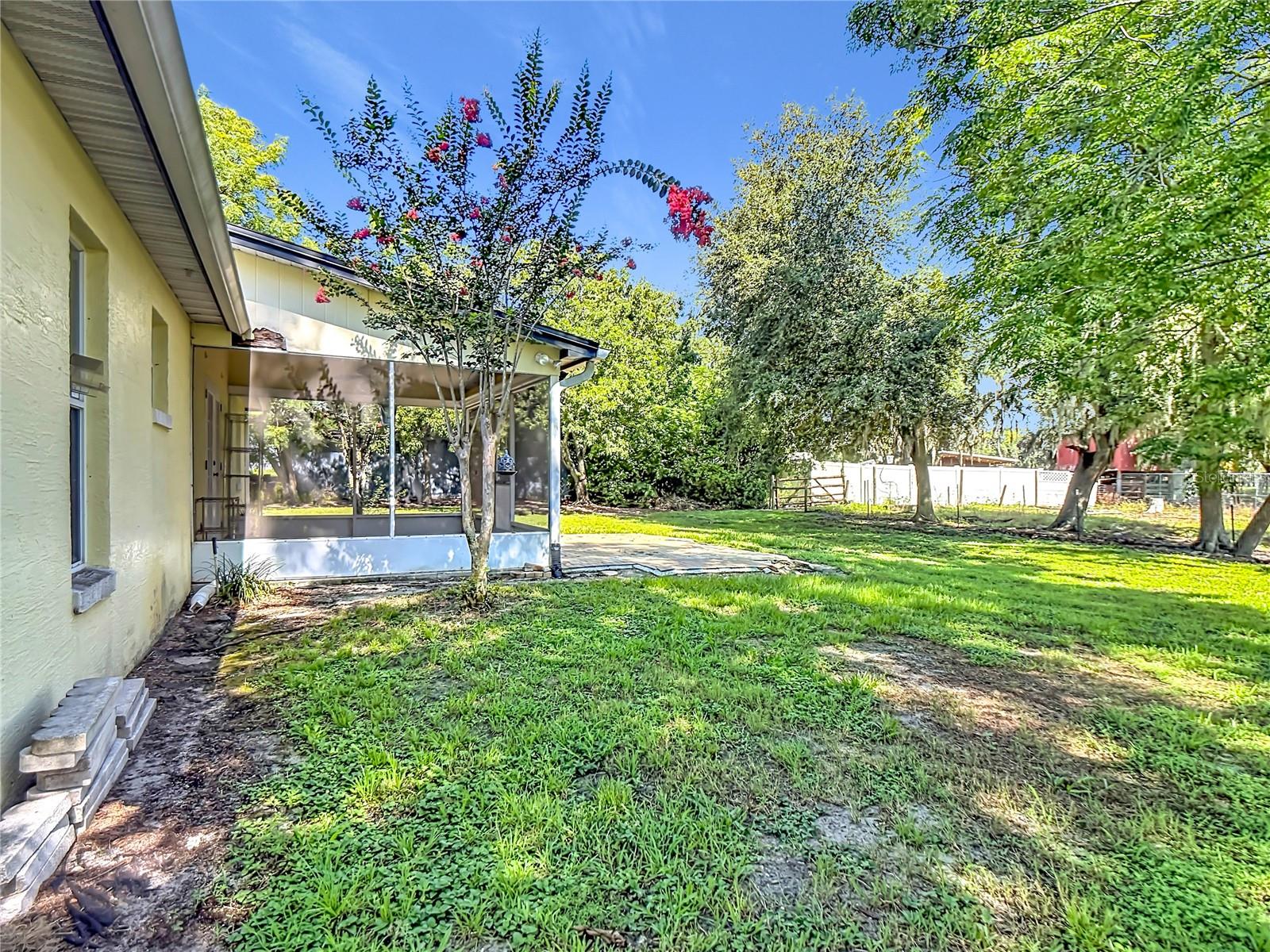 BUCKHORN RUN - Residential