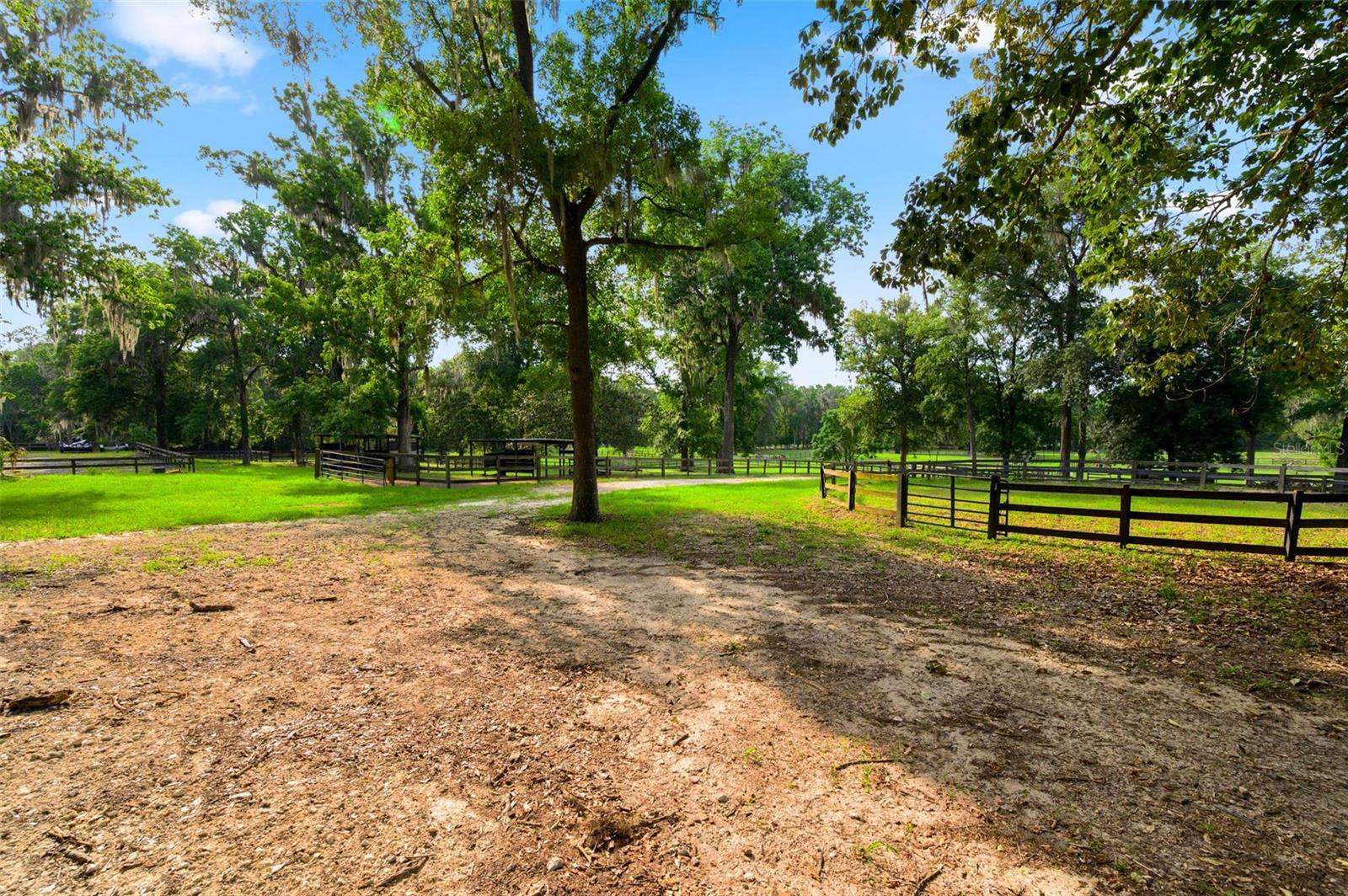 SANCTUARY OAKS - Residential