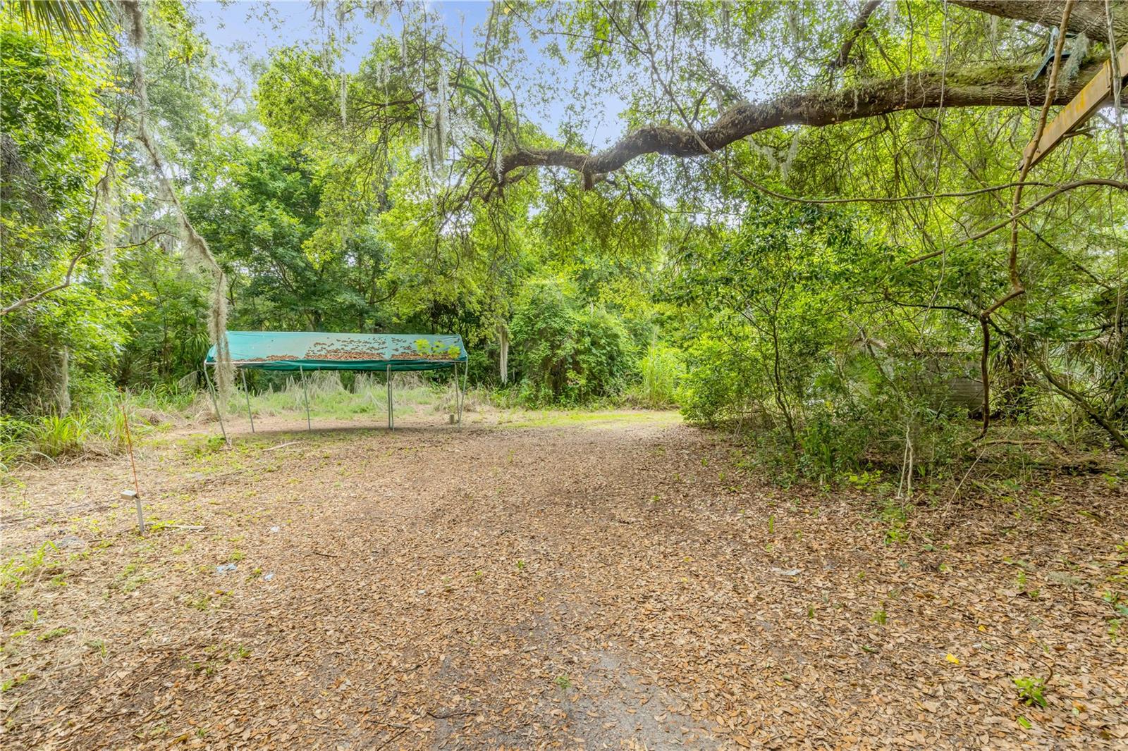 NOT IN SUBDIVISION - Residential
