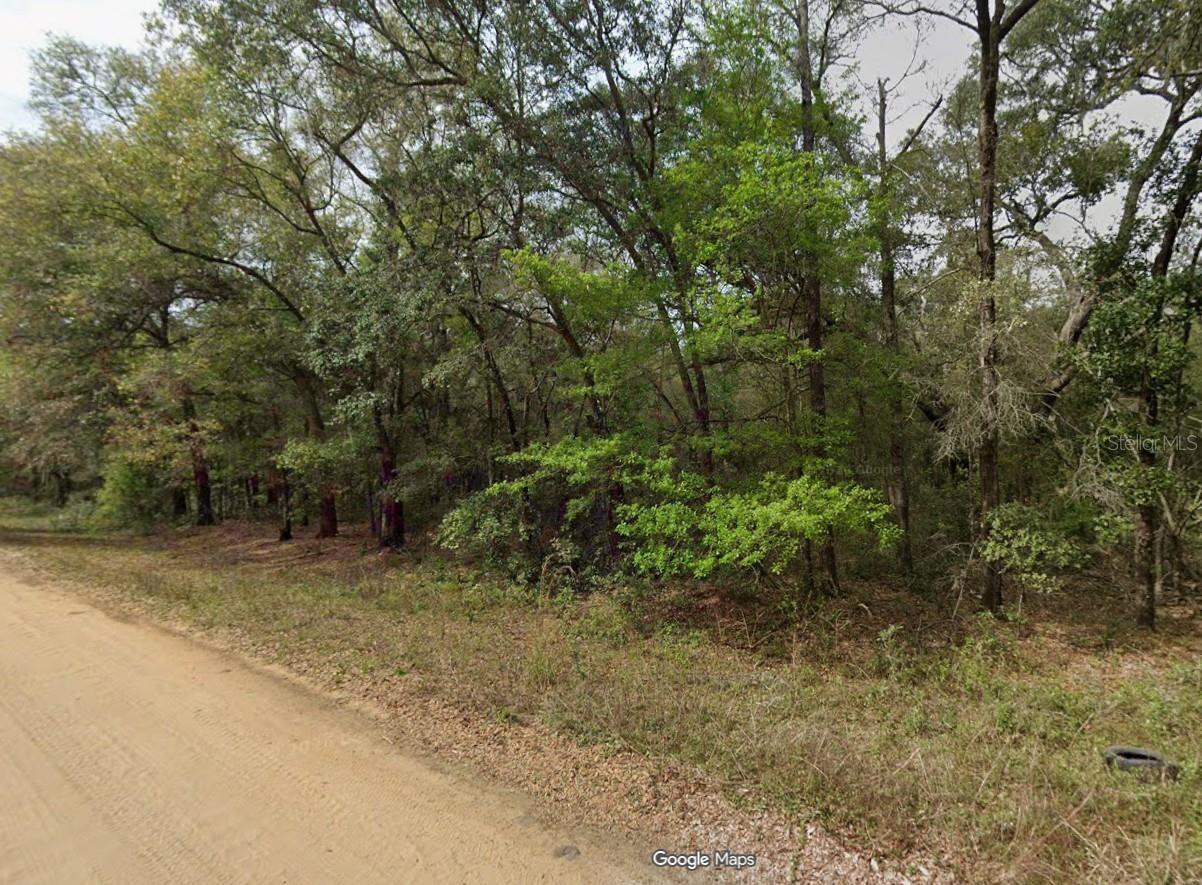 Residential acreage, 2 lots side by side available. Listed separately at $8,900 each. Do not miss out on these (.22-acre each) lots. They are high and dry!! Located within minutes of schools, restaurants, churches, and parks. Not too far from Gainesville or Palatka, and they are less than an hour from the beach. Florida land is a great investment!!  Whether you're building your dream home, a vacation getaway, or simply want to let the land appreciate as a valuable long-term asset, these lots are for you!! They are zoned residential…build a home or buy a mobile!! No HOA… Seller will NOT split. You must purchase both.