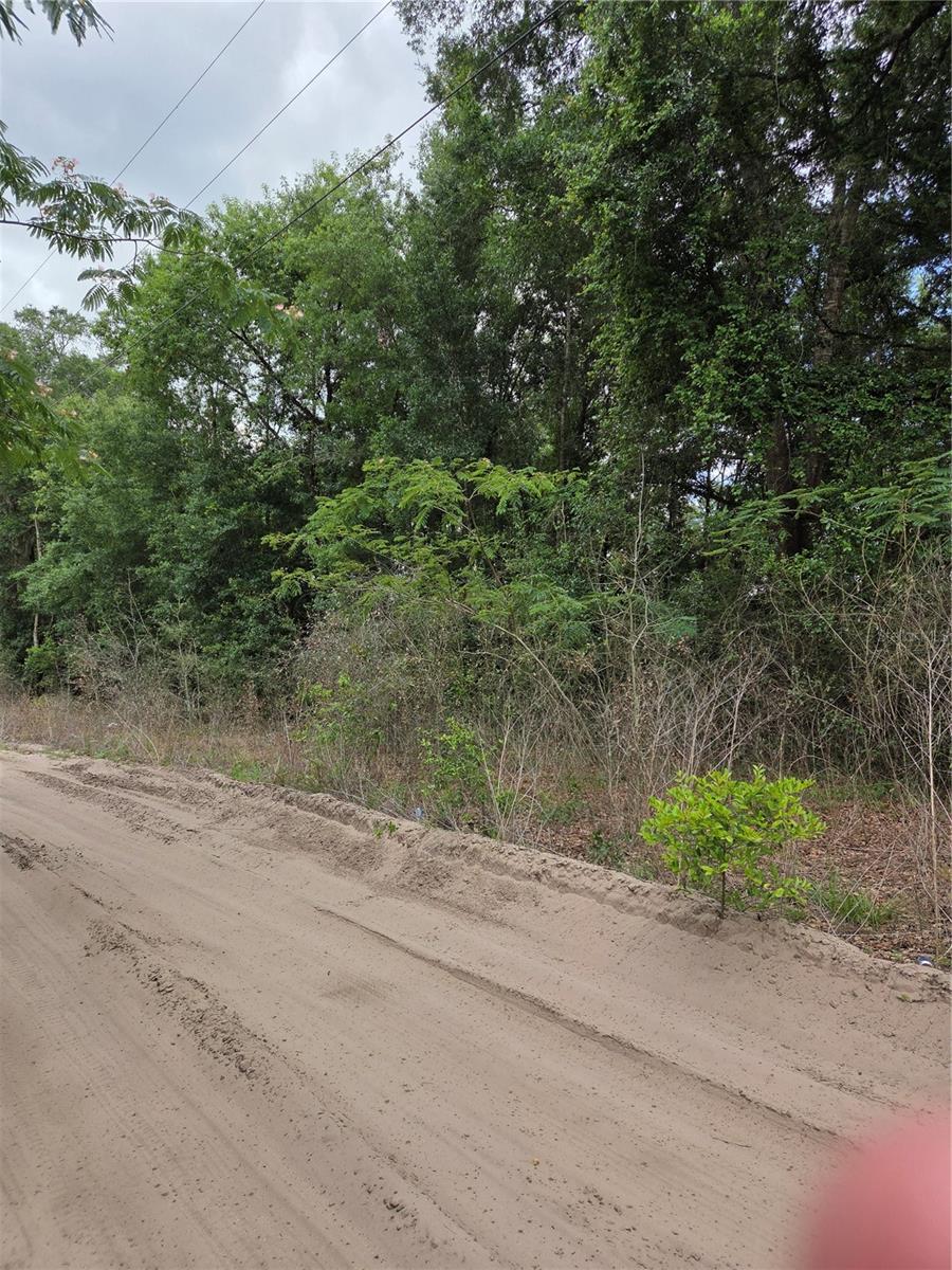 BELLEVIEW HEIGHTS ESTATE - Land