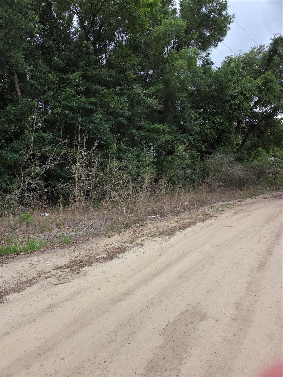 BELLEVIEW HEIGHTS ESTATE - Land