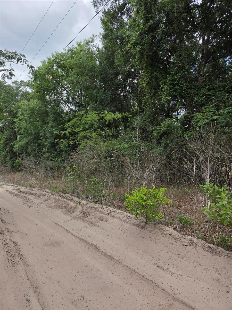 BELLEVIEW HEIGHTS ESTATE - Land