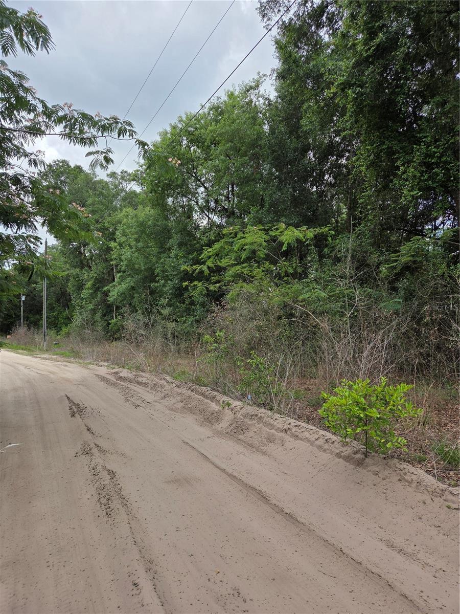 BELLEVIEW HEIGHTS ESTATE - Land