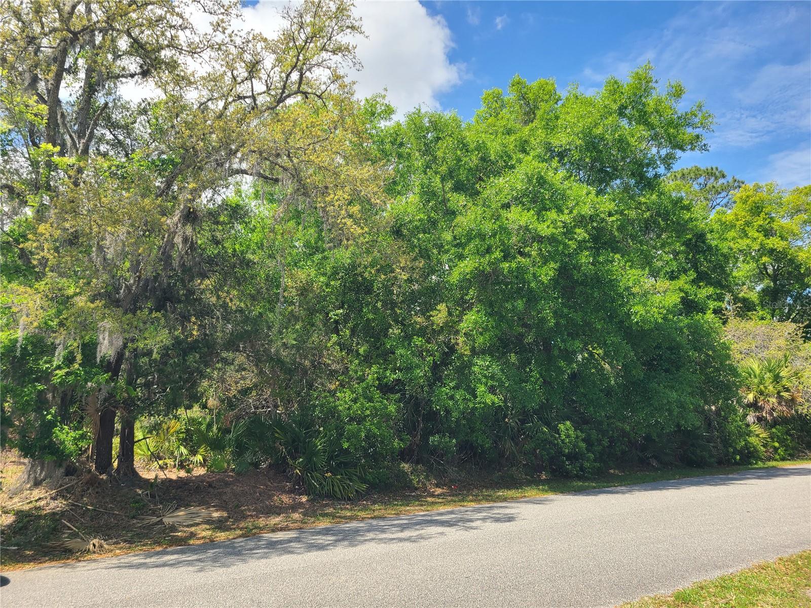 Why buy a used home when you can build your DREAM home?  This oversized lot is located in the highly desirable Palm Harbor subdivision in the sought-after "F Section."  This established neighborhood is known for its mature trees, quiet streets, and peaceful surroundings. Conveniently located east of I-95, you’ll enjoy easy access to shopping, restaurants, medical facilities, and top-rated schools.  Just minutes from the beach, golf courses, and scenic walking trails, this location truly has it all.  Experience the best of Florida living, whether it’s relaxing on miles of sandy beaches, taking in breathtaking sunrises and sunsets, or enjoying an active lifestyle.  Come Live, Work, and Play in Paradise—Florida is waiting for you!