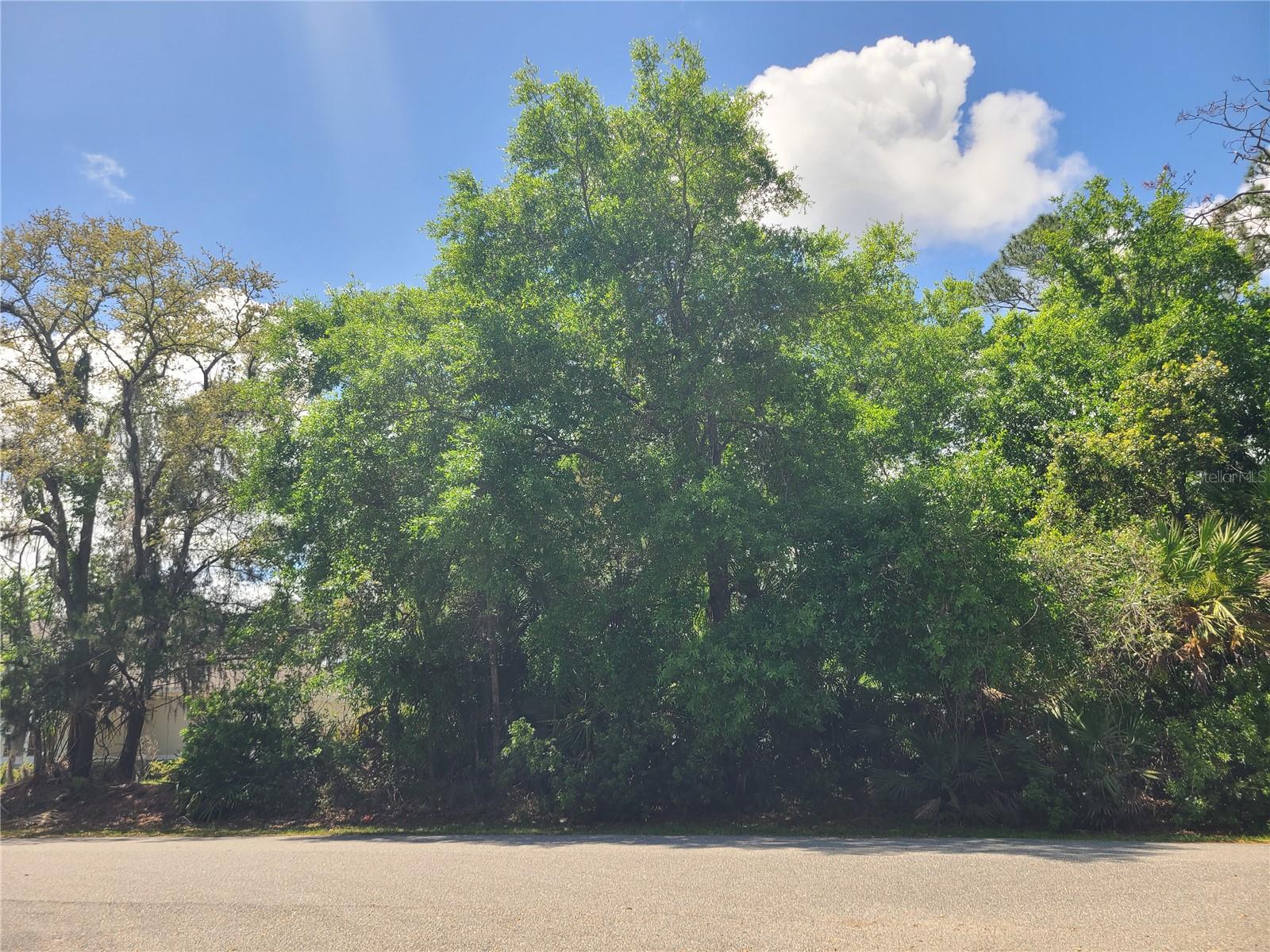 PALM COAST SEC 09 - Land