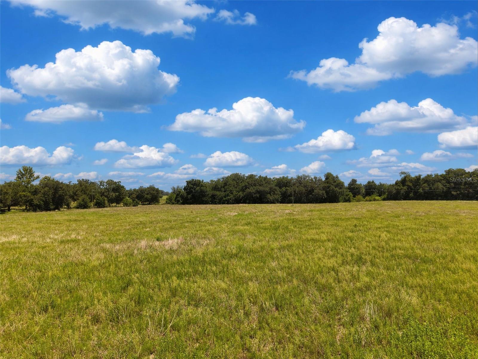 Discover the beauty and potential of this exceptional 40-acre property in southeastern Levy County, near the Marion County line. Currently utilized for agriculture, this cleared parcel features a rolling landscape that captures the charm and character horse enthusiasts seek in Central Florida farm country. Surrounded by other large farms and rural properties, this property offers the space, privacy, and peaceful setting ideal for creating your dream equestrian facility, training operation, private farm, or country retreat. Located near the community of Romeo and just north of Dunnellon, enjoy the quiet lifestyle of the countryside while still having convenient access to Ocala and the world-renowned World Equestrian Center. Outdoor recreation abounds in every direction. Spend your days enjoying the crystal-clear waters of Rainbow Springs, where swimming, kayaking, tubing, and diving are favorite local pastimes. Travel west to the charming Gulf Coast communities of Crystal River, Yankeetown, and Cedar Key for fresh local seafood, fishing adventures, waterfront dining, and unforgettable sunsets. For horse lovers, nearby Goethe State Forest offers miles of scenic riding trails through some of Florida's most beautiful natural landscapes, especially appealing for equestrians seeking year-round riding opportunities. Whether you're looking to establish a working farm or ranch, or to invest in a piece of Florida's treasured horse country, this property offers an outstanding opportunity in a highly desirable location. Come walk the land, take in the views, and imagine the possibilities. Make plans to see this beautiful property today and discover why so many horse enthusiasts are proud to call this area home.