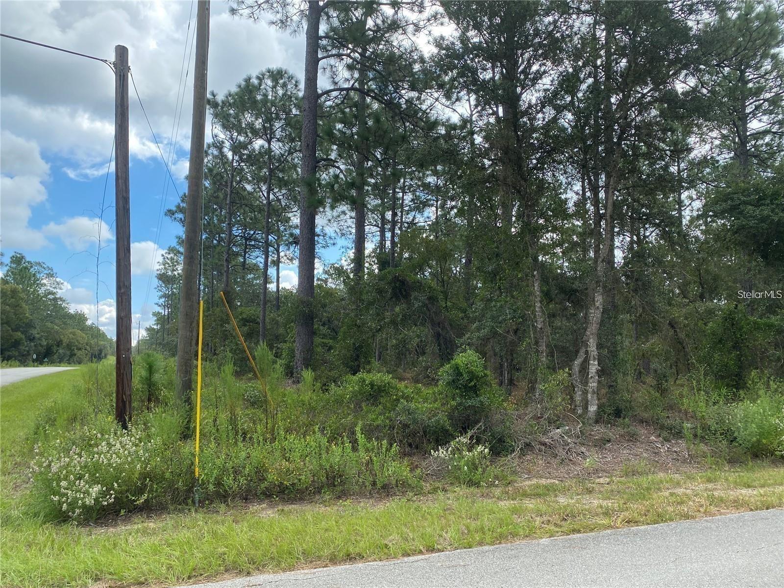 Build your dream home on this beautiful 0.31-acre corner lot in the desirable Rainbow Lakes Estates community of Dunnellon! This high and dry, private homesite is zoned R-1 for site-built homes only—no mobile homes permitted. The property offers paved road frontage and is ideally located with convenient access to shopping, restaurants, schools, and other everyday amenities while still providing a peaceful setting to enjoy Florida living. Whether you're ready to build now or invest for the future, this lot offers an excellent opportunity in a growing area. Don't miss your chance to secure your piece of Florida—start building today!