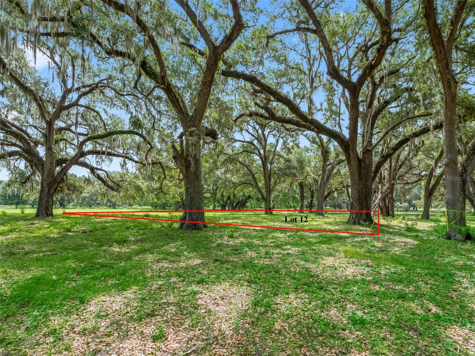 Lot 12! Welcome to classic Southern elegance of 12 Oaks Club and Lodge.  A haven for guests, visitors and residents to experience and enjoy. Dappled sunlight plays on the long, tree-lined lane where more than 300 magnificent Spanish moss-draped live oak trees punctuate acres of parkland, preserved as a testament to resilience and an enduring love of nature. The winding drive transports you, evoking a sense of tranquility as you make your way toward the elegant columned entrance of the 12 Oaks Club & Lodge. The inviting native-Florida landscape serves as a backdrop to invite exploration of the beautiful grounds where guests will experience acres of tranquility, gentle breezes, quiet birdsong and dappled sunlight. The winding roads curve gently around the majestic oaks, their roots deep in history, as families build futures beneath their sprawling shade. This introductory price is a huge opportunity for this amazing up and coming community.  Like none other, with amazing views, huge trees and a Clubhouse you will want to show off to your friends.