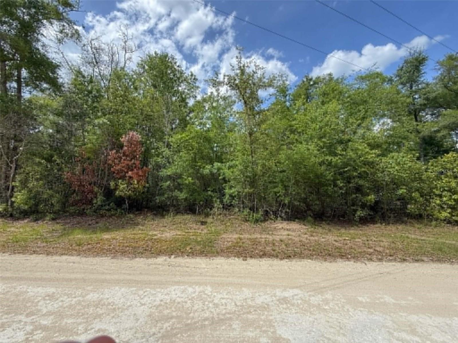 Discover the perfect opportunity to own a beautiful 0.92-acre vacant lot in Branford, located in scenic Suwannee County. This spacious property offers the ideal setting for your future homesite, weekend getaway, or investment in one of North Florida’s most peaceful and naturally beautiful areas. Nestled in a quiet, rural setting, this property provides plenty of room to build while still enjoying privacy and wide-open space. Whether you’re looking to bring a mobile home, build a custom residence, or simply hold land for the future, this parcel offers flexibility and potential. Branford is known as the “Spring Diving Capital of the World” and sits along the historic Suwannee River, offering endless opportunities for outdoor recreation including boating, fishing, kayaking, and exploring nearby freshwater springs. The surrounding area is rich in natural beauty, with lush forests, rolling countryside, and abundant wildlife, making it a haven for nature lovers and outdoor enthusiasts. Located in Suwannee County, you’ll enjoy a relaxed, small-town atmosphere with affordable living and a strong sense of community. The county is known for its agricultural roots, local festivals, and access to parks, rivers, and scenic landscapes. Despite its peaceful setting, Branford is conveniently located within driving distance to larger hubs like Lake City and Gainesville, giving you the best of both rural charm and accessibility.