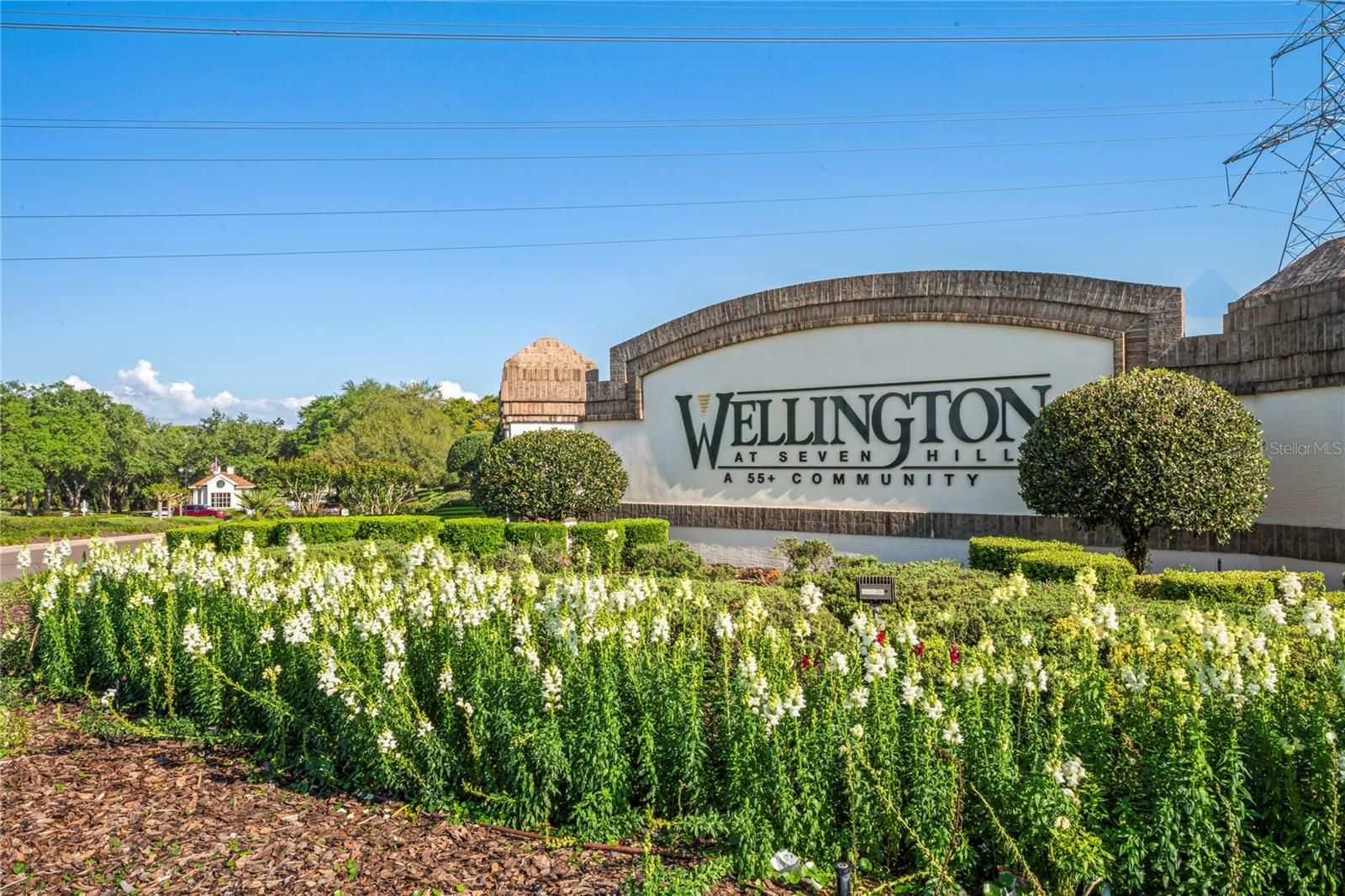 WELLINGTON AT SEVEN HILLS PH 4 - Residential
