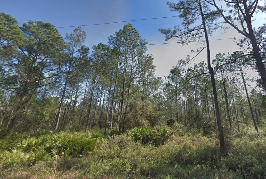 FLAGLER ESTATES TR 1549 - Land