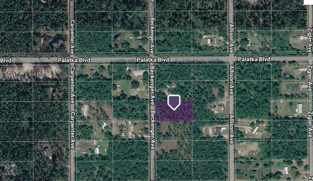 FLAGLER ESTATES TR 1549 - Land