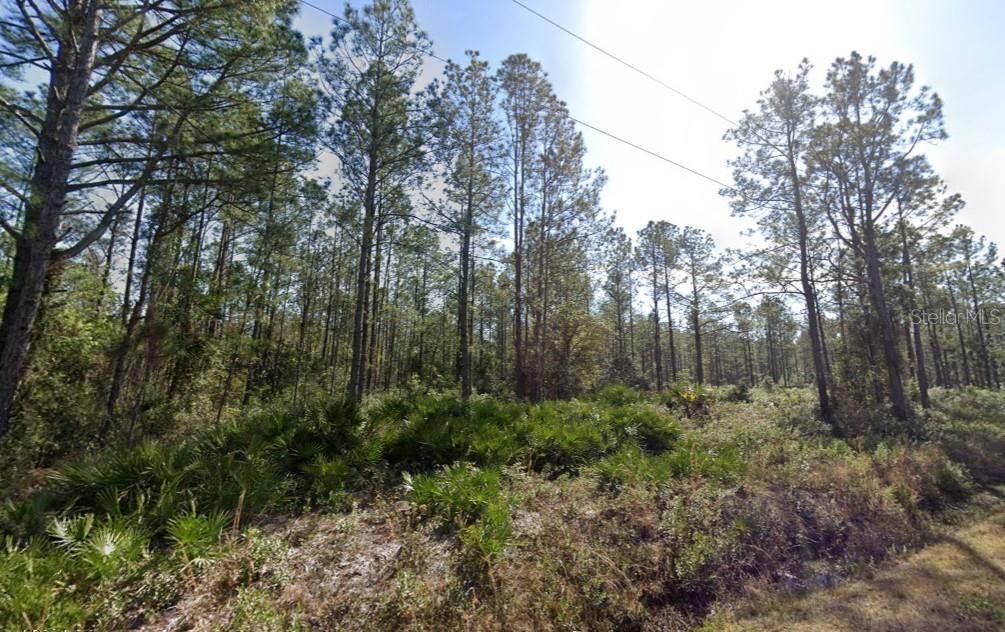 FLAGLER ESTATES TR 1549 - Land