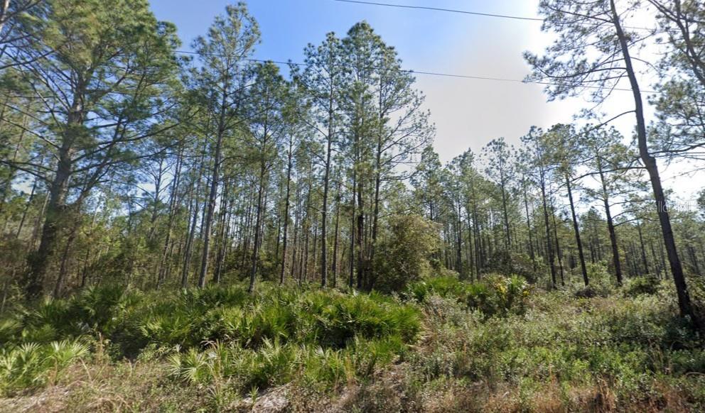 Spacious property in Flager Estates with over an acre of land available for your homestead. Trees line the property making it appealing for nature lovers. There are power lines at the road to make easy access for your connection to utilities. No HOA, high and dry with no wetlands or flood zone.