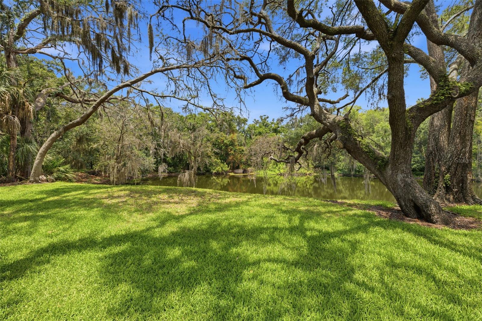 RAINTREE VILLAGE CONDO N - Residential