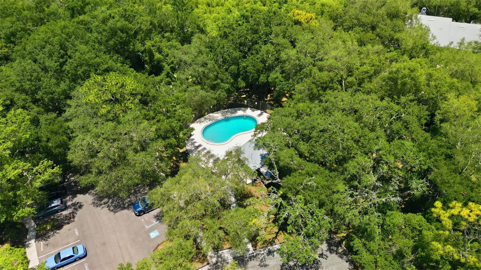 RAINTREE VILLAGE CONDO N - Residential