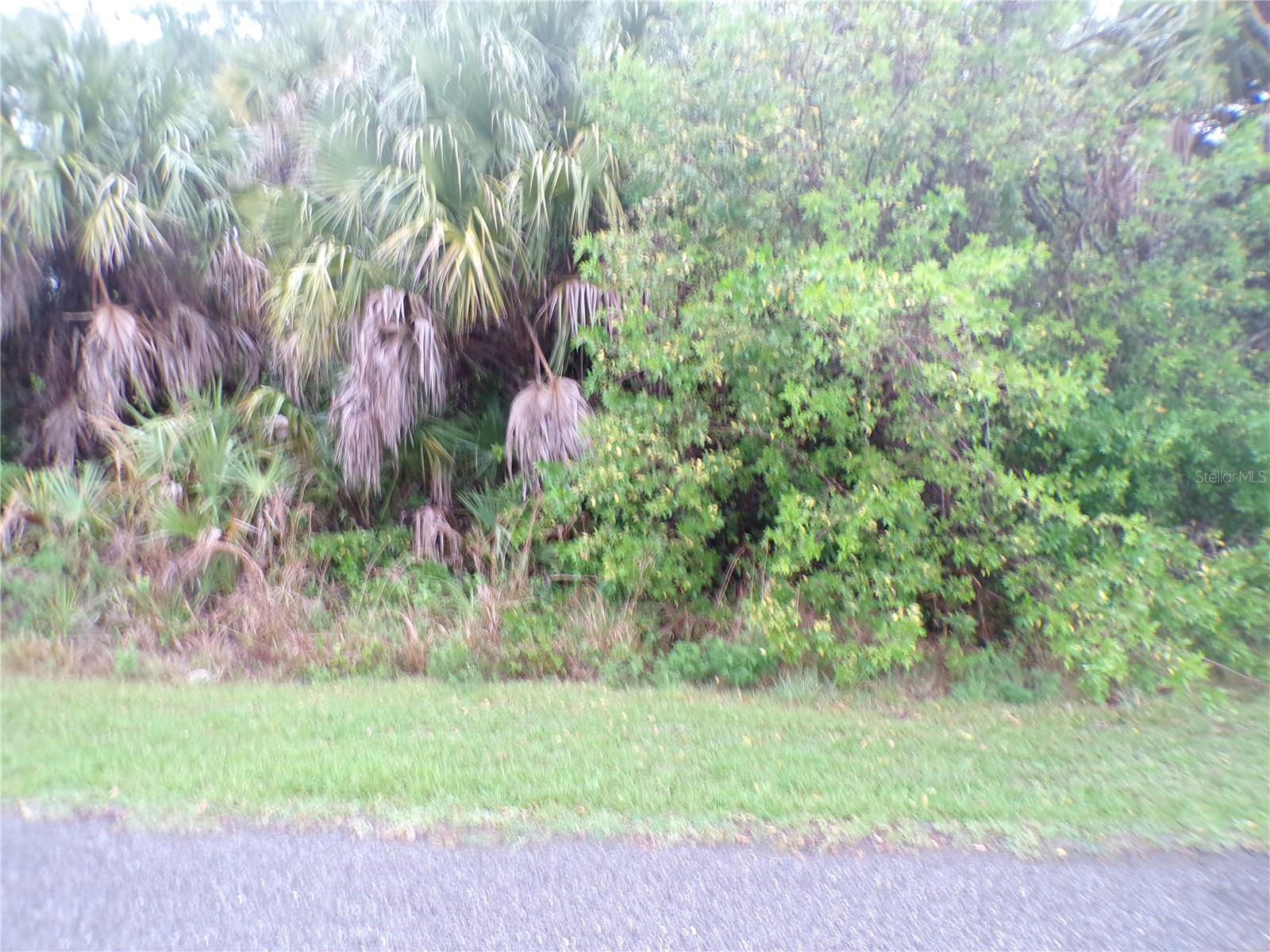 PORT CHARLOTTE SUB 05 - Land