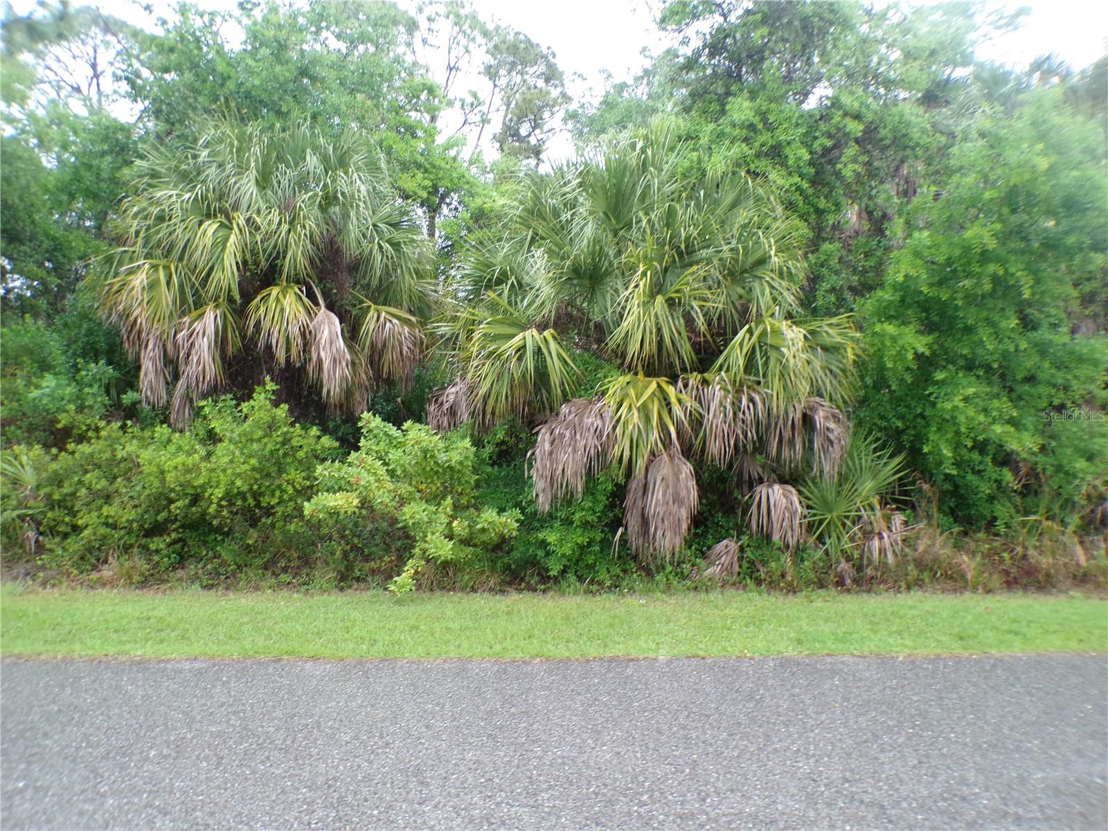 PORT CHARLOTTE SUB 05 - Land