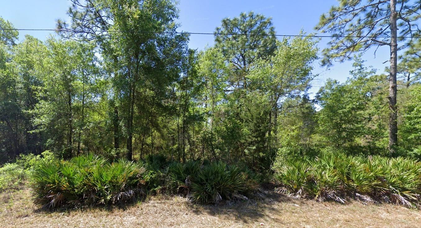 Four Vacant Lots Near Homosassa Springs, Florida.  Build your Slice of Paradise!  Looking for space to build your dream home, invest in land or create a peaceful getaway?  These four vacant lots are available just minutes from Homosassa Springs a nature lover's paradise known for its crystal-clear springs, Manatee sightings and Old Florida charm.  Build a single-family home, hold as an investment or create a season retreat.  Wooded lots with a quiet, rural feel while still being close to town conveniences.  Easy access to US 19, Shopping, Dining and Medical Services. Minutes from boat ramps, fishing, kayaking, hiking trails and the Gulf of America.  Peaceful surroundings with room to spread out. Close to the Homosassa Springs Wildlife State Park and Chassahowitzka National Wildlife Refuge.  NO HOA fees.  This is a rare chance to own Multiple Lots in one of Florida's most beautiful areas.