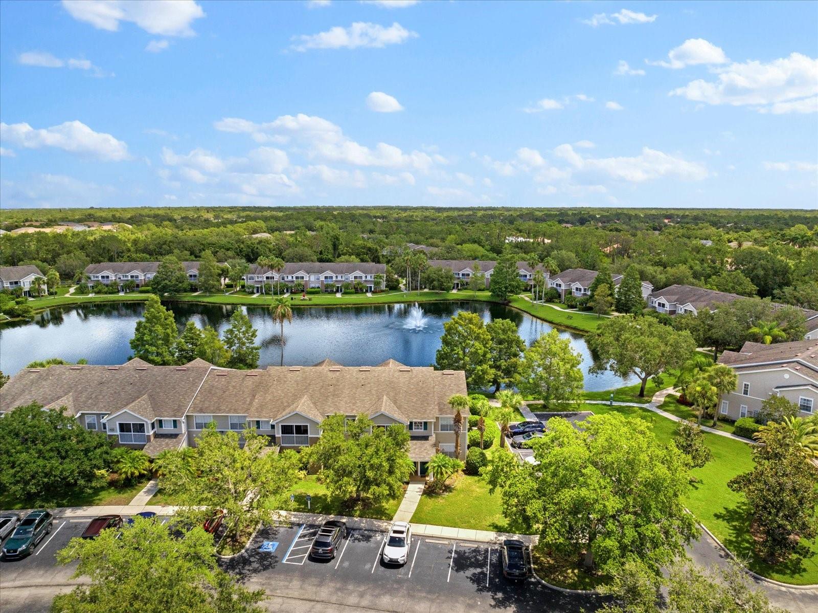 THE VILLAGE AT TOWNPARK - Residential