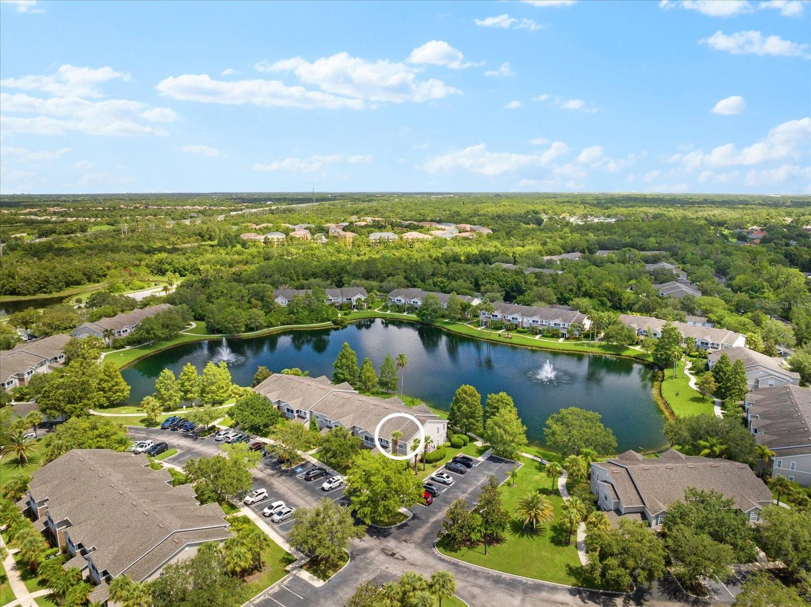THE VILLAGE AT TOWNPARK - Residential