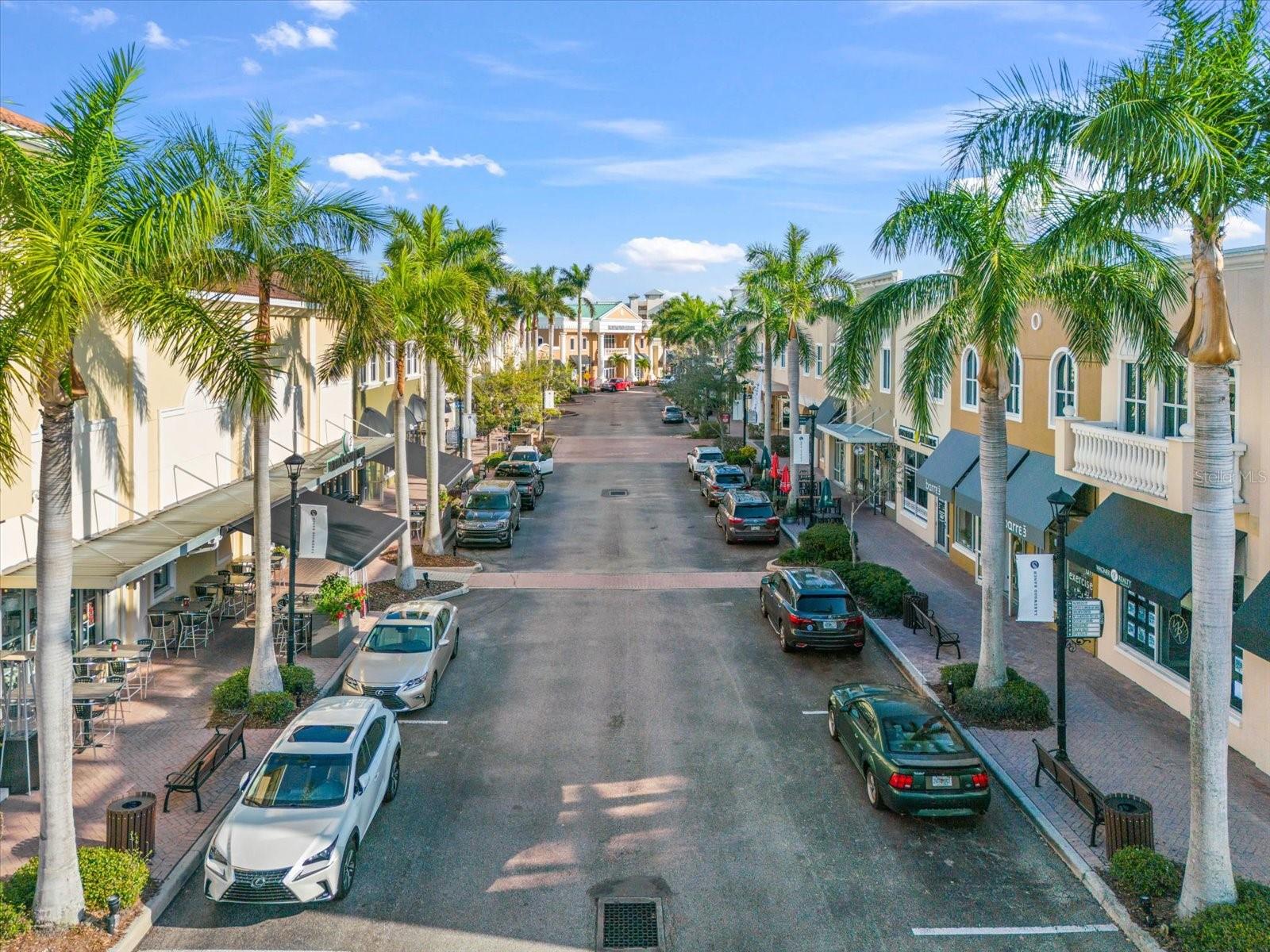THE VILLAGE AT TOWNPARK - Residential