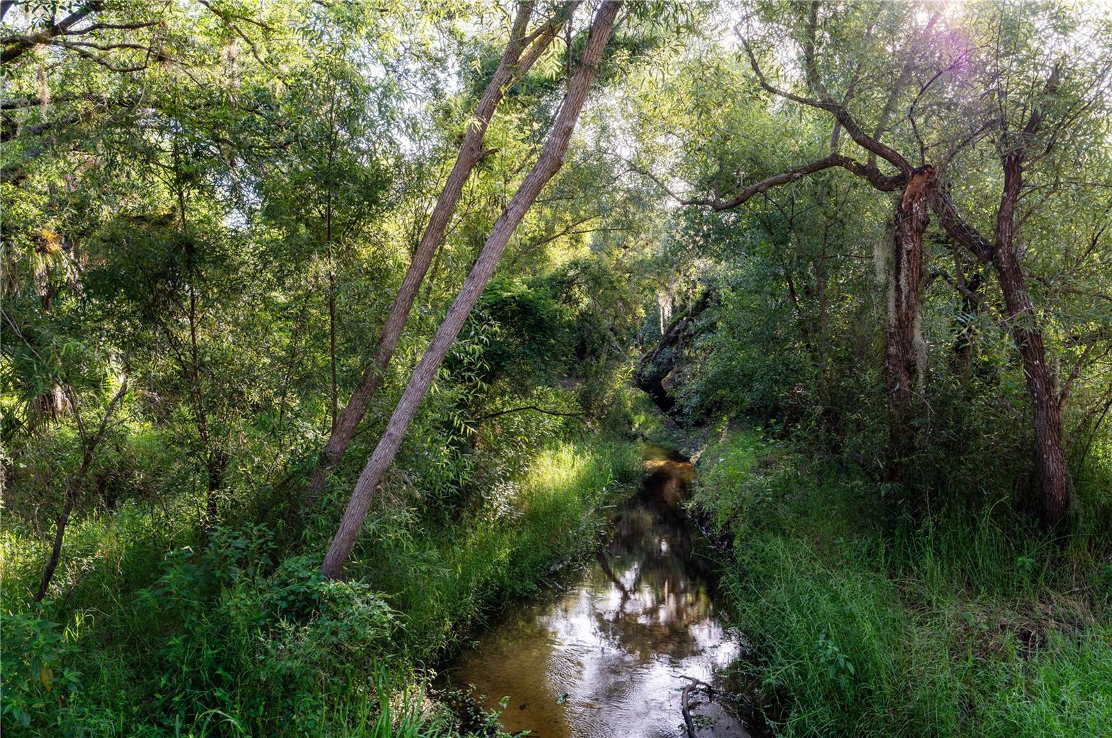 WOODLAND ESTATES - Land