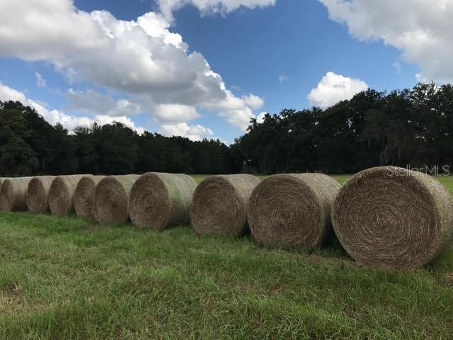 GROVELAND FARMS 33-22-24 - Residential