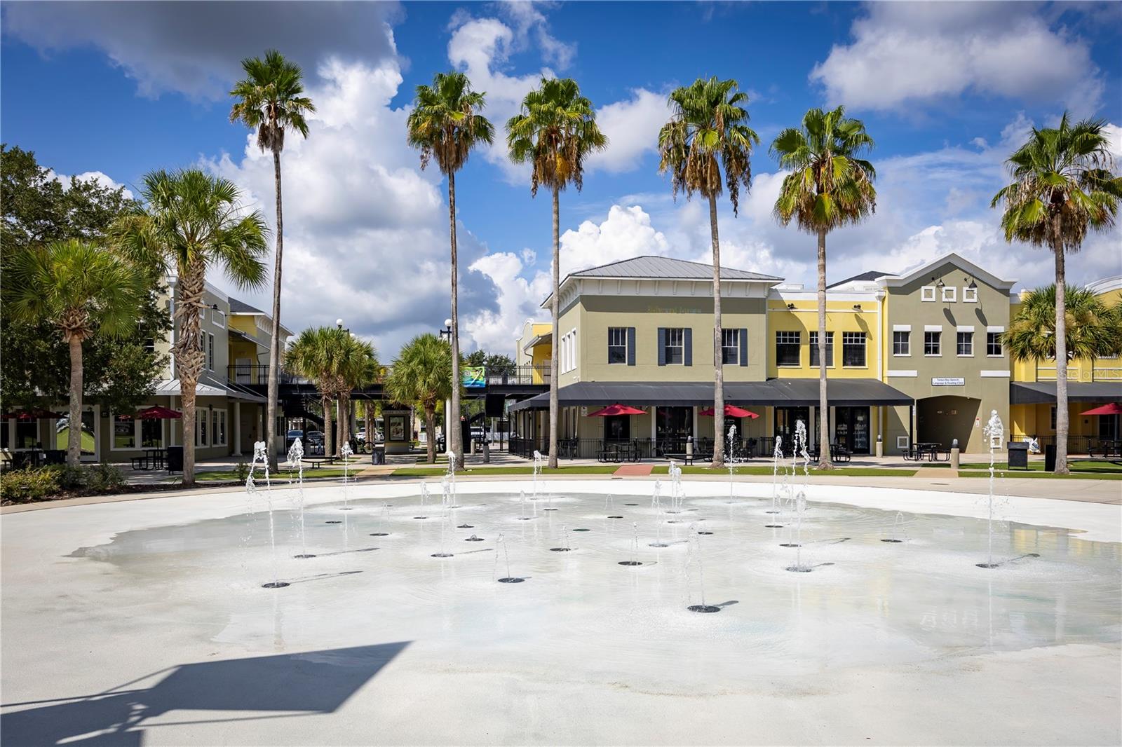 FISHHAWK RANCH TOWNCENTER - Residential