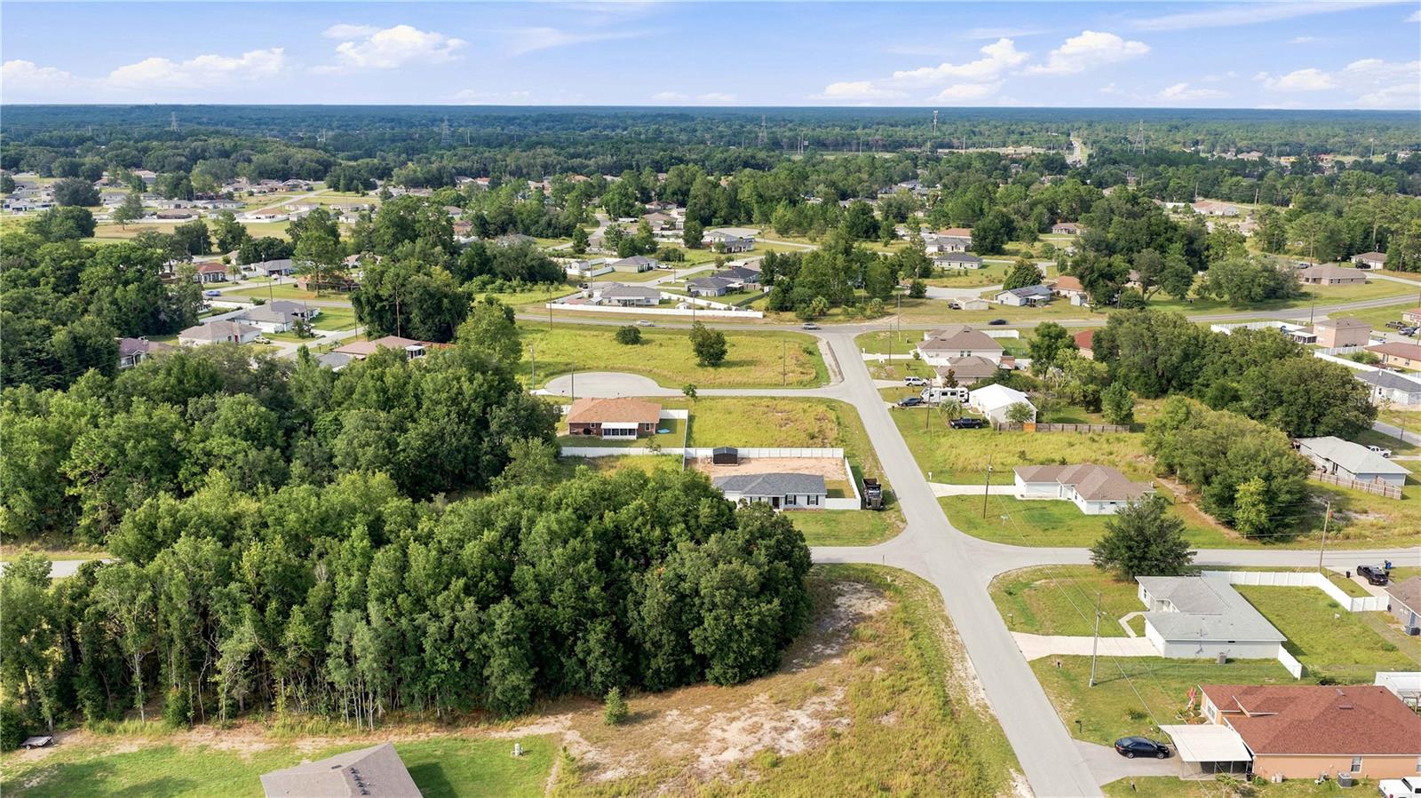 SILVER SPRINGS SHORES - Land