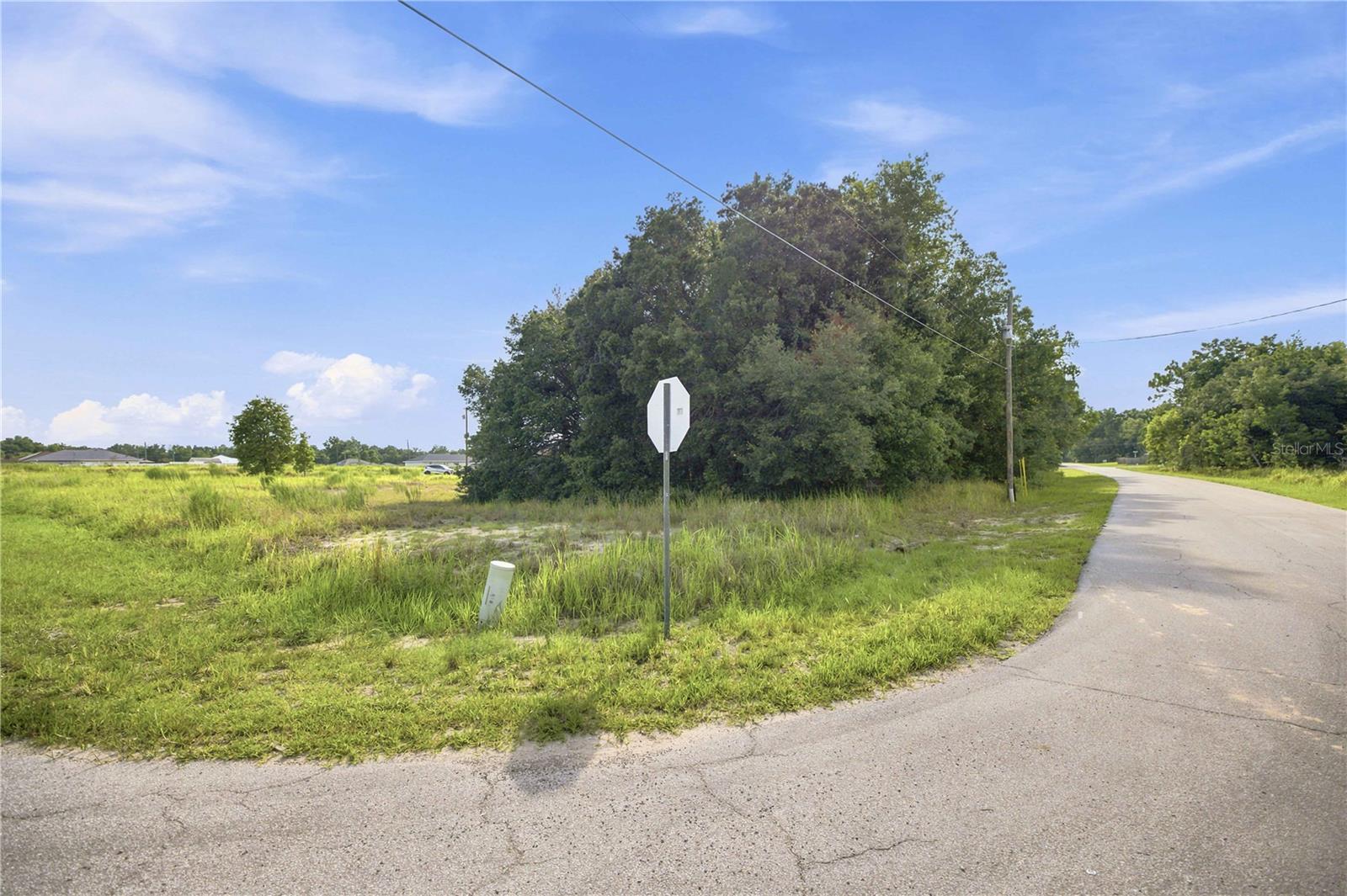 SILVER SPRINGS SHORES - Land