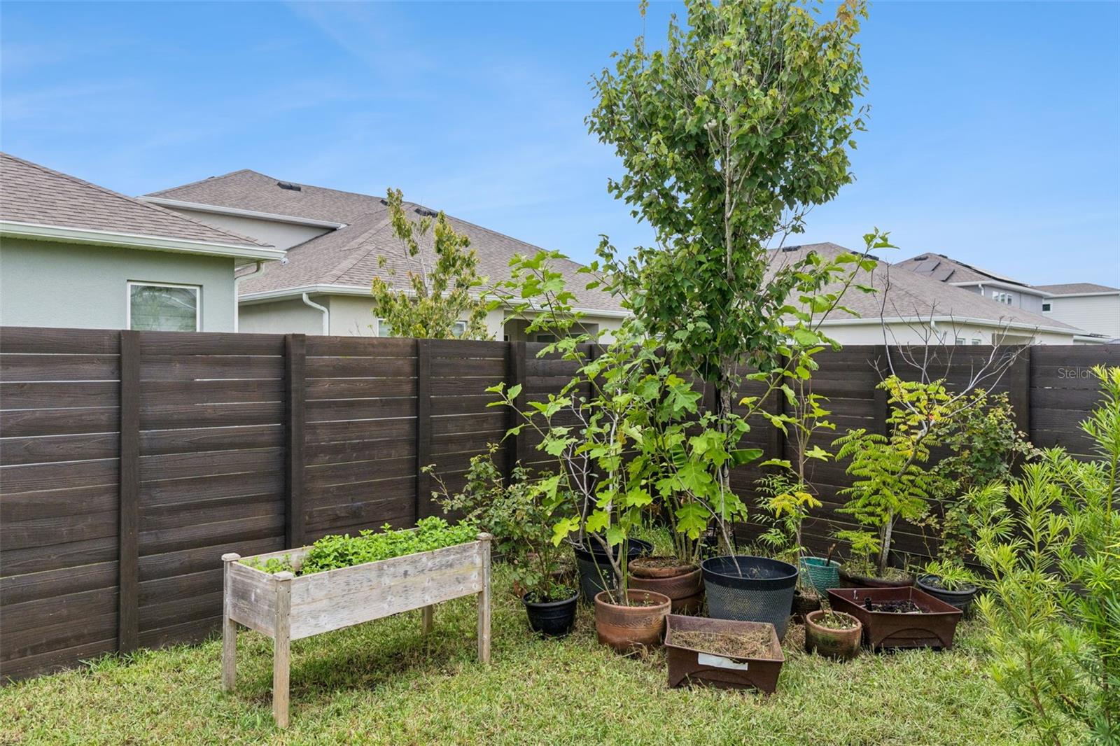 SUMMERDALE PARK AT LAKE NONA - Residential