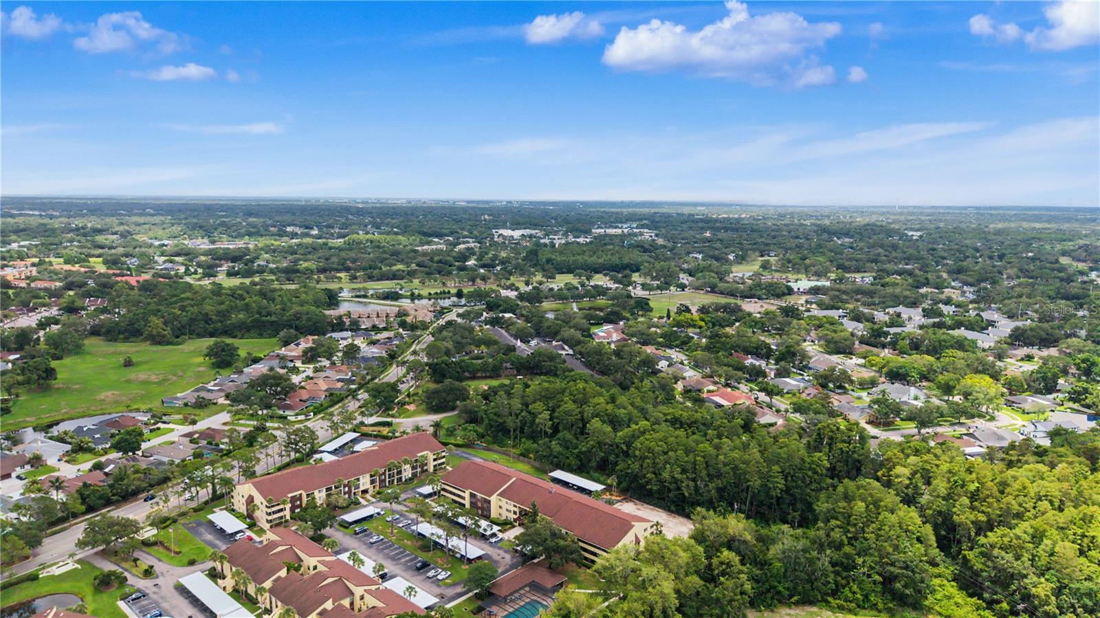 THE TOWERS AT CARROLLWOOD VILL - Residential
