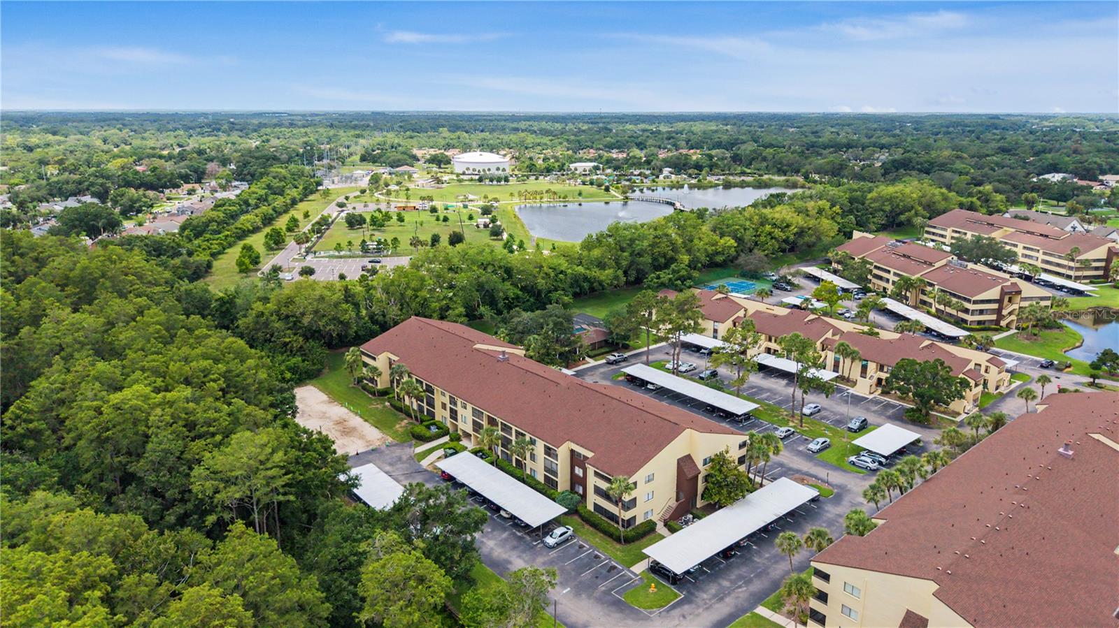 THE TOWERS AT CARROLLWOOD VILL - Residential