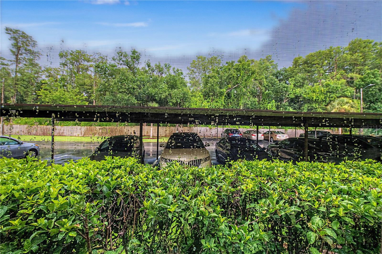 THE TOWERS AT CARROLLWOOD VILL - Residential