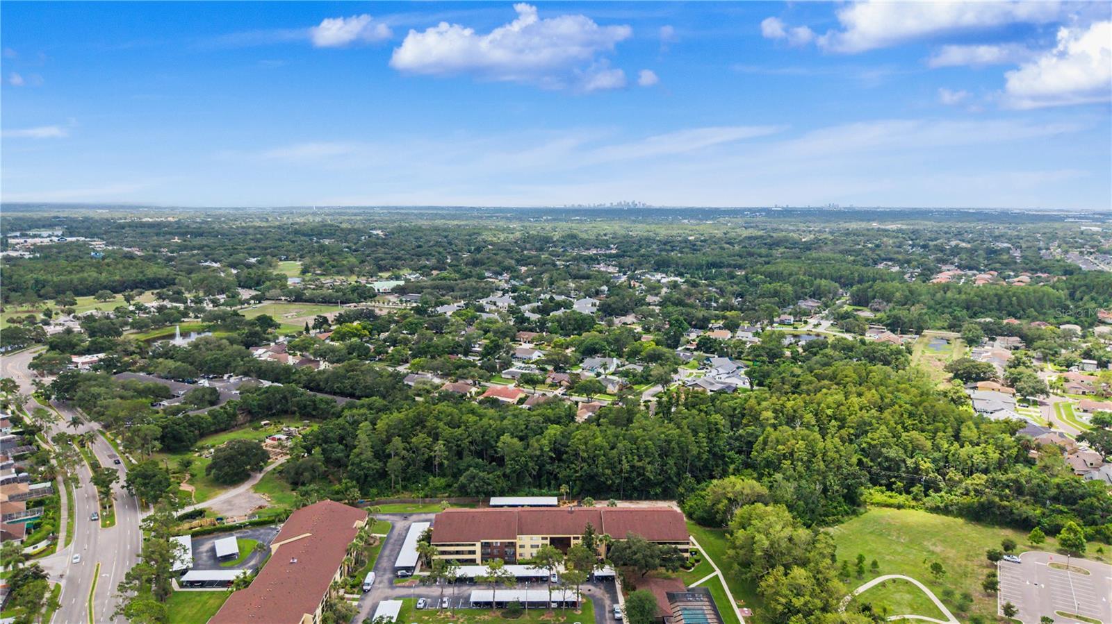 THE TOWERS AT CARROLLWOOD VILL - Residential
