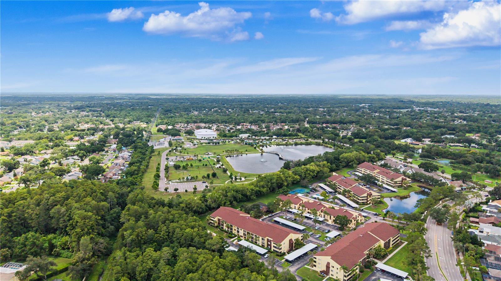 THE TOWERS AT CARROLLWOOD VILL - Residential